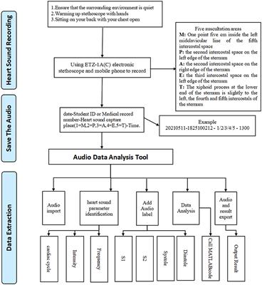 Construction and validation of a method for automated time label segmentation of heart sounds